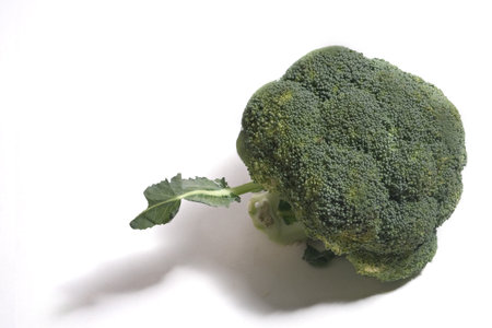 Fresh green broccoli head with cut stem on white background, top view....の写真素材
