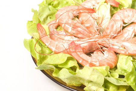 Closeup of  shrimps on plate served with green romano salad are ready to eat
の写真素材