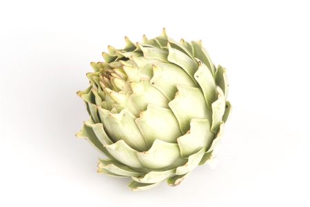 Close-up and detailed shot of artichoke on white background

の写真素材