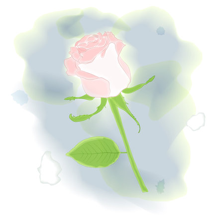 Watercolor rose. Vector illustrationのイラスト素材