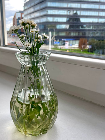There are bouquets of wild flowers in transparent vases on the windowsillの写真素材