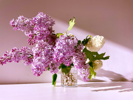 On a pink background in sunlight, a bouquet of purple lilac and white viburnumの写真素材