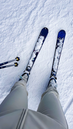 Legs in skis on snow, top viewの写真素材
