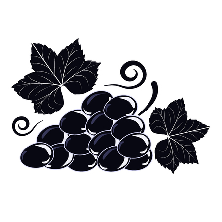 Vector illustration symbol of a with black grapes and green leaves on white isolated background.のイラスト素材