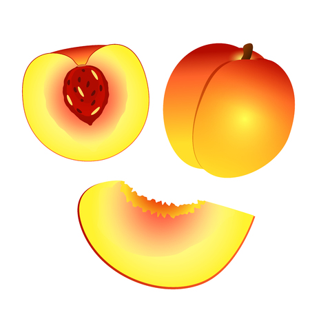 Yellow orange peach and half peach and slice isolated on white background. Vector illustration.のイラスト素材
