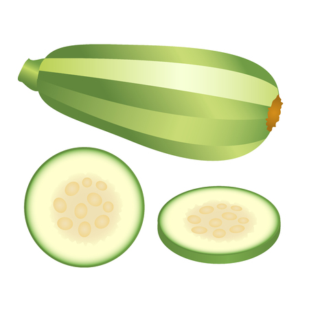 Light green zucchini and its pieces isolated on white background. Vector illustration.のイラスト素材