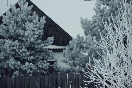 house in the snowの写真素材