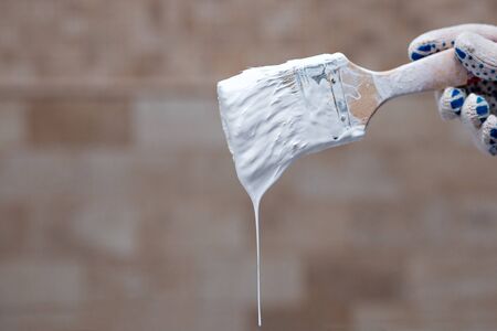 Paintbrush with white paintの写真素材