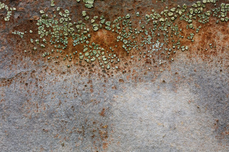 Old fiber with scratches and cracks paint. Texture, background