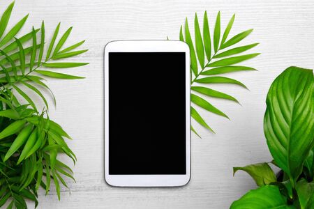 Flat lay digital tablet with tropical palm leaves on white woodenの写真素材