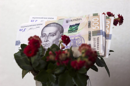 500 Ukrainian hryvnias lie on top of a flowering flowerpot (Red Kalanchoe blossfeldiana), White...