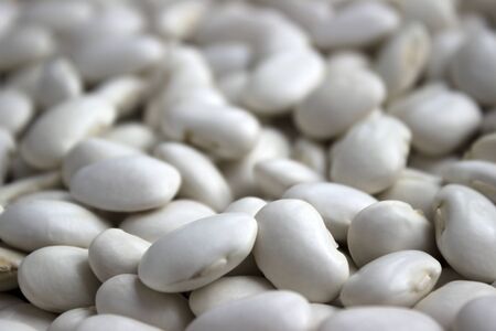 Lots of white large beans, background. Useful legumesの写真素材