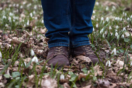 An adult man in leather shoes and jeans stands among a lawn with white snowdrops. Man in the forest among the first spring flowersの写真素材