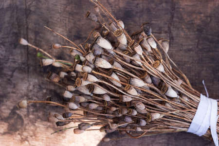 A bouquet of wild poppy heads. Brown dry poppy heads, backgroundの写真素材