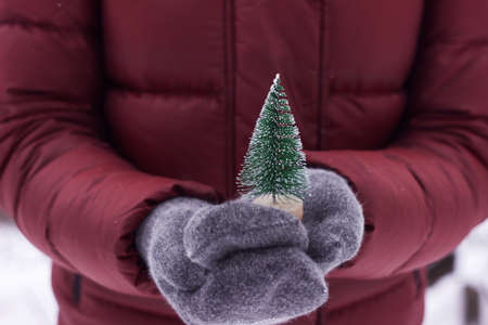 A young woman in a red jacket and gray mittens holds a toy Christmas tree outdoors in snowy weather. New year backgroundの写真素材