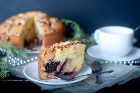 Viennese cake with blueberries and blueberry ice cream.の写真素材
