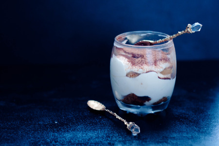 italian dessert - tiramissu, on dark backgroundの写真素材