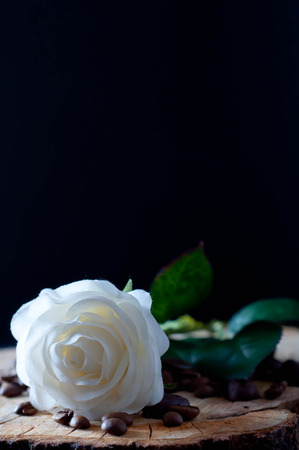 Cappuccino coffee cup and white roses , tulipの写真素材