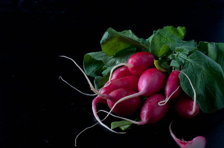Delicious Fresh radishes from the garden on black backgroundの写真素材