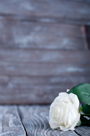Three White Roses on the Wooden Tableの写真素材