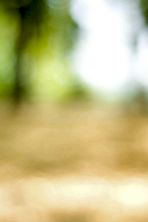 Abstract nature background , blurred backgrounds . Artistic style - Defocused urban abstract texture background for your designの写真素材