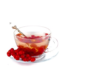 Hot herbal tea with honey and viburnum on the white bacgraundの写真素材