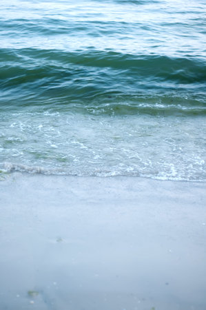 Closeup of sea foam on wet sand with copy space
