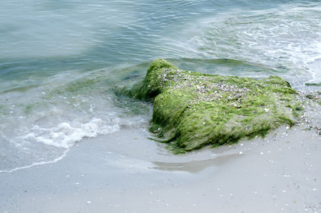 Closeup of sea foam on wet sand with copy space
