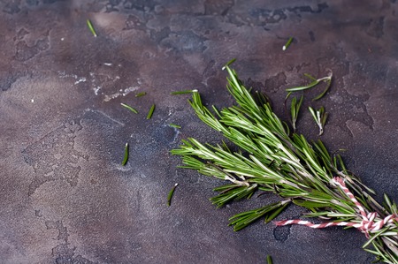 bunch of fresh green rosemary on gray concrete backgroundの写真素材