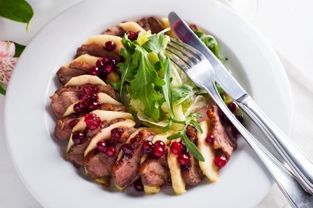 Roasted Duck Meat with Apple Slice and Cranberry sauce and Greens on white backgroundの写真素材