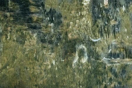 Old panel wood background Horizontalの写真素材