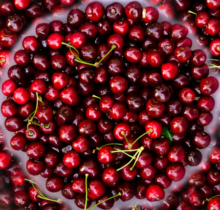 red cherry backgroundの写真素材