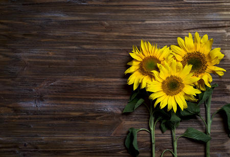 Autumn background with sunflowersの写真素材