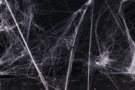 halloween, decoration and horror conceptの写真素材