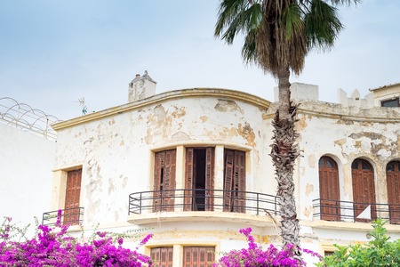 Scenery with canarian palm trees and old house on a blue skyの写真素材