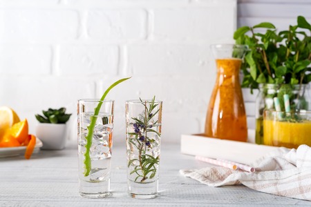 Aloe vera and rosemary gin and tonic on white rustic table. Copy space. Dragon tail cocktail for fans partyの写真素材