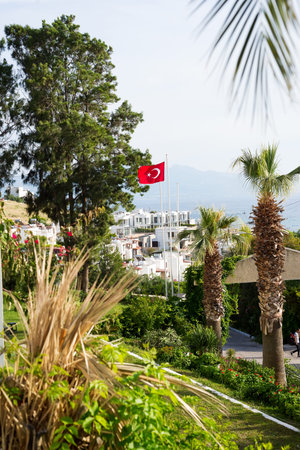 View from Bodrum sity, palm trees, sea and the Turkish flagの写真素材