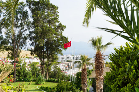 View from Bodrum sity, palm trees, sea and the Turkish flagの写真素材