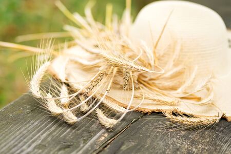Cropped shot of a hat in wheat meadow on wooden background. Abstract countryside background.の写真素材