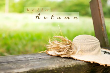 Cropped shot of a hat in wheat meadow on wooden background. Hello autumnの写真素材
