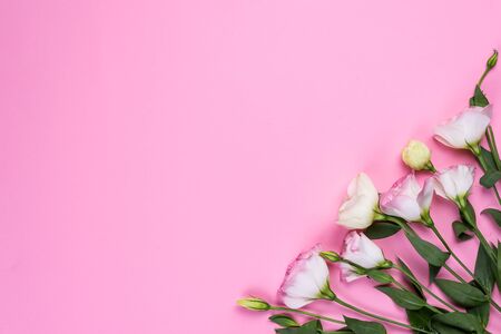 Frame composition with empty space in the center made of blooming pink eustoma, flat lay. Floral decorative corners on pink background.の写真素材