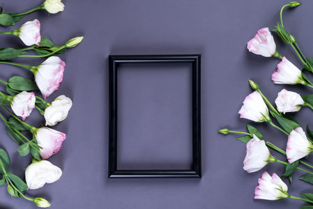 Empty black frame and flowers eustoma on gray paper background with copy space. Holiday concept