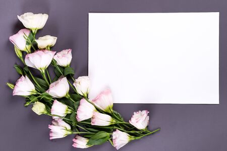Empty paper and flowers eustoma on gray paper background with copy space. Holiday conceptの写真素材