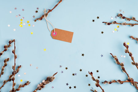 Branches of the pussy willow with shop label on blue stars background, copy space