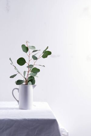 Decorative card with fresh natural branch of Eucalyptus plant in a ceramic mug on a table covered textile cloth against light grey wall, copy space.の写真素材