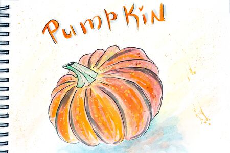 hand drawing yellow pumpkin on white paper, watercolor illustration .の写真素材