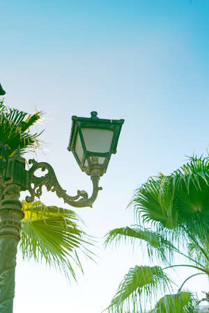 Old vintage street lamp with palm trees.の写真素材
