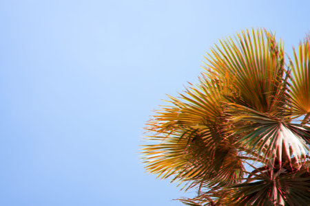 Natural tropical glitch green palms leaves and sky.