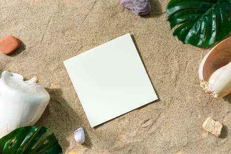 Greeting mockup card on a sand beach with shells and leaves.の写真素材