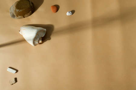 Decorative frame with shell and pebbles.の写真素材